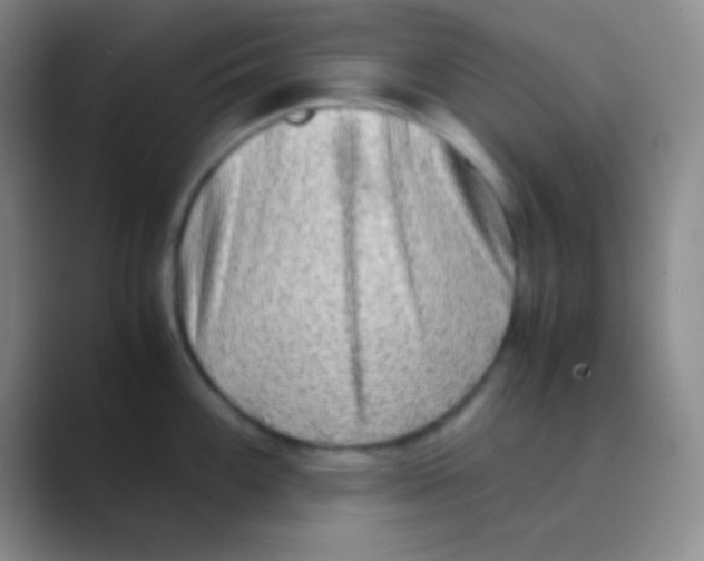 X0000088721100200706282058