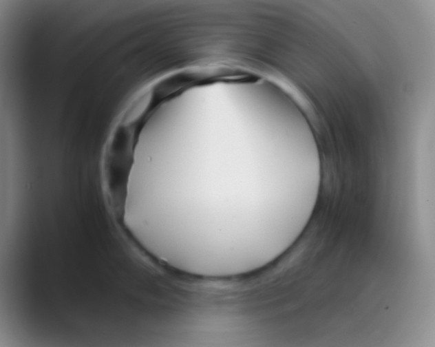 X0000088721102200706282058