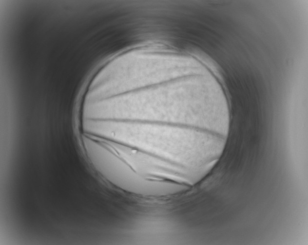 X0000088721104200706282058