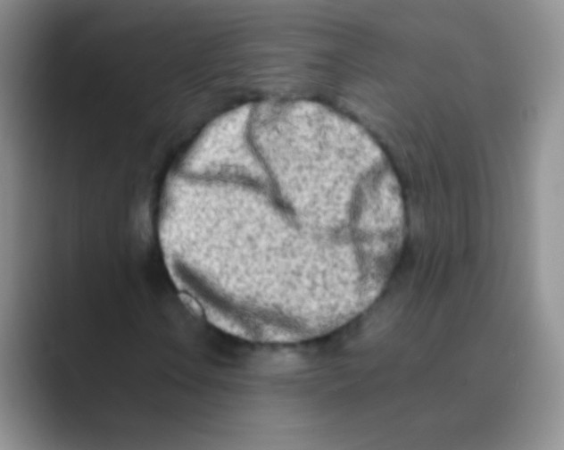 X0000088721106200706282058