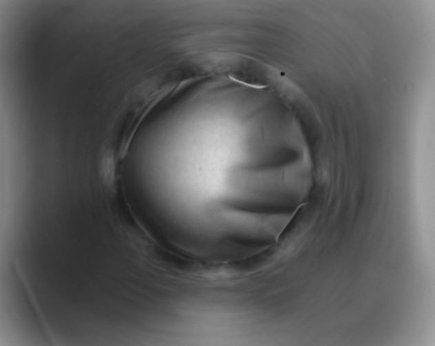 X0000088721108200706282058