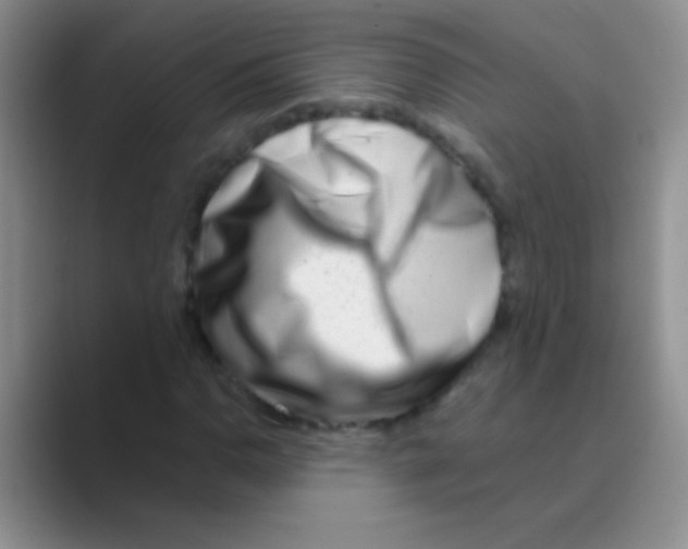 X0000088721110200706282058