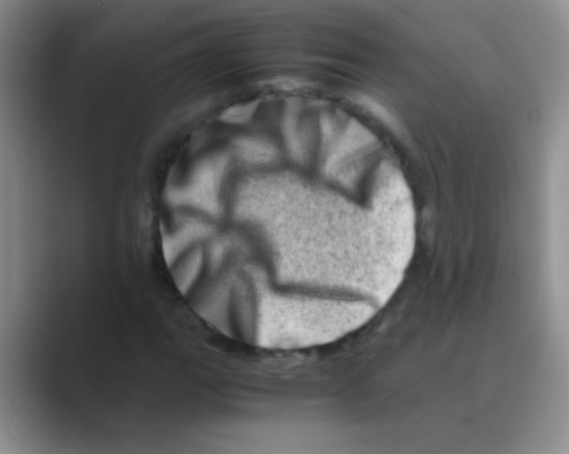 X0000088721111200706282058