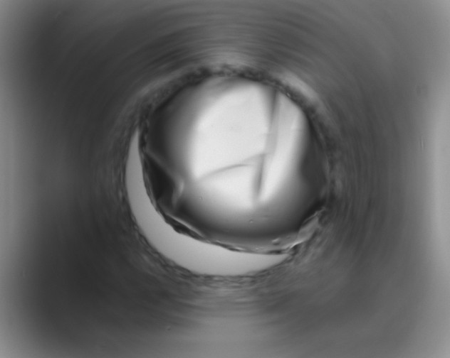 X0000088721112200706282058