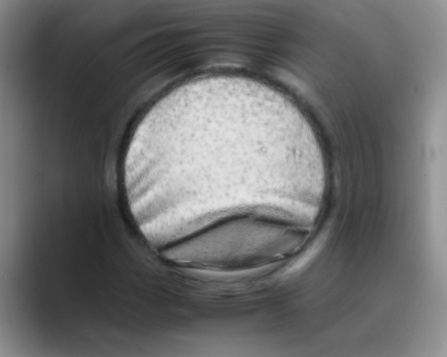 X0000088721113200706282058