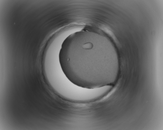 X0000088721114200706282058