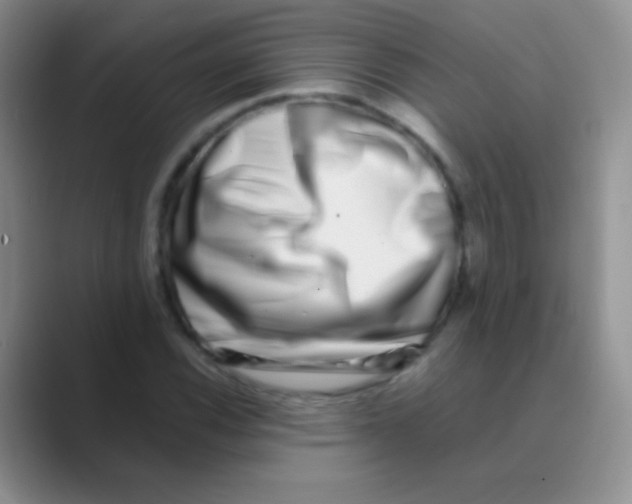 X0000088721116200706282058