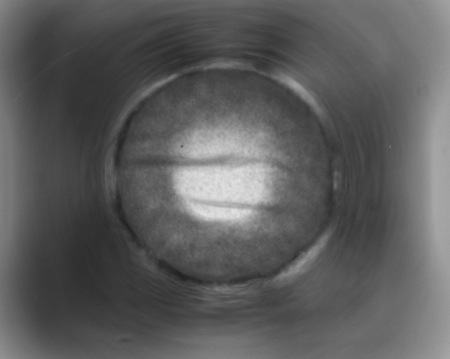 X0000088721117200706282058