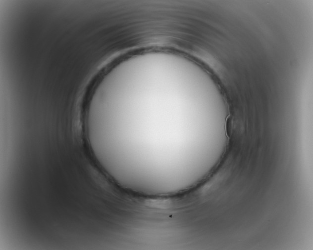 X0000088721118200706282058