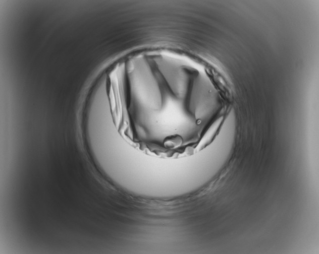 X0000088721120200706282058