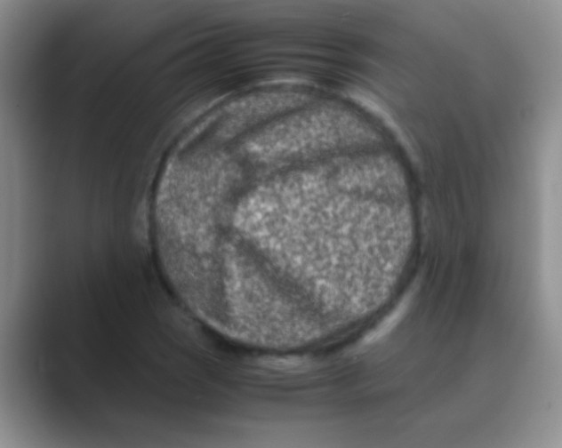 X0000088721121200706282058