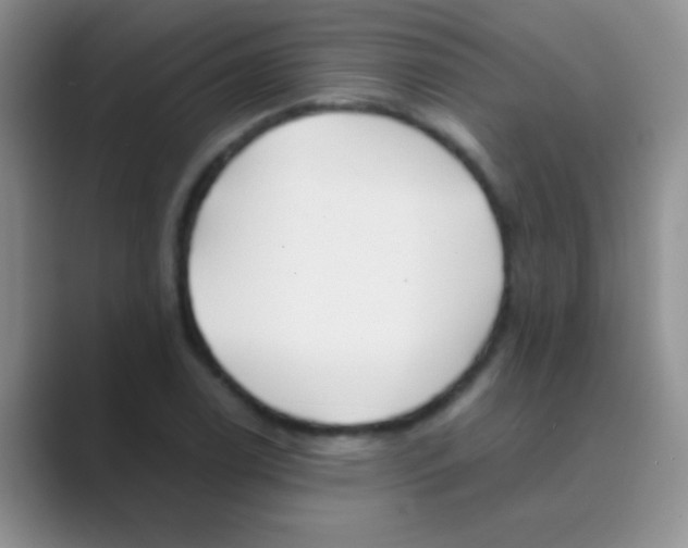 X0000088721122200706282058