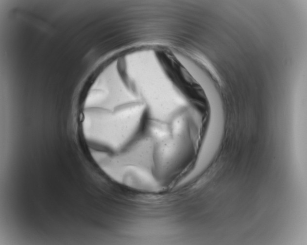 X0000088721124200706282058