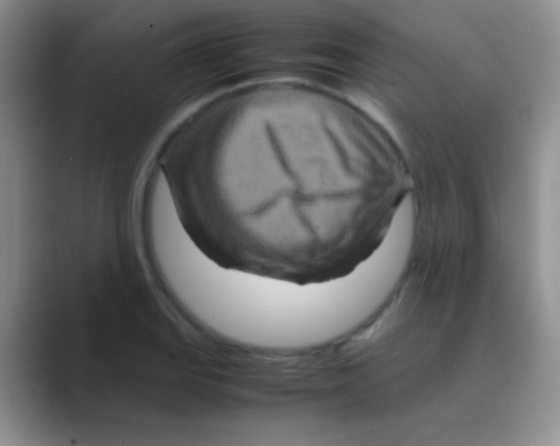 X0000088721127200706282058