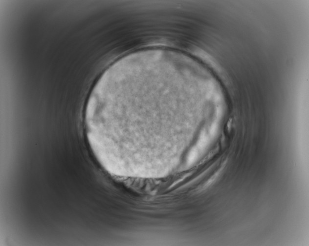 X0000088721129200706282058