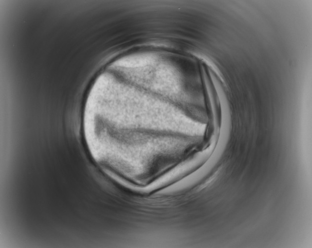 X0000088721131200706282058