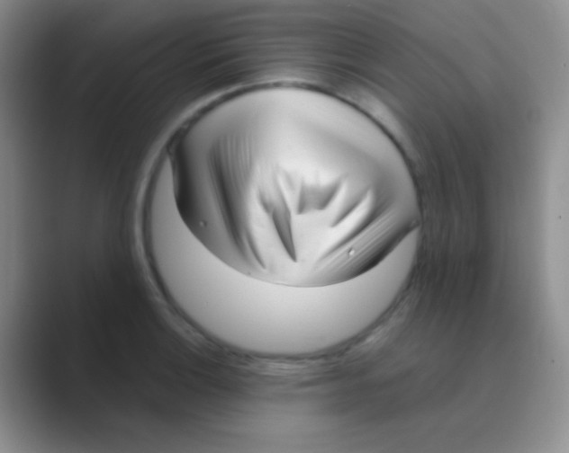 X0000088721132200706282058