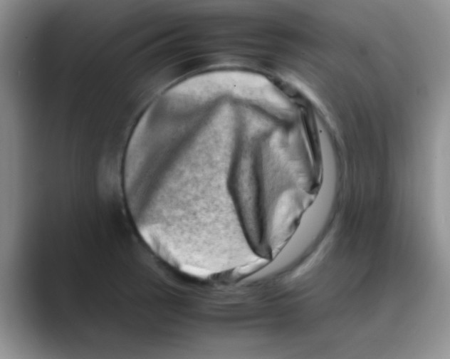 X0000088721137200706282058