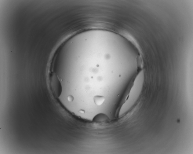 X0000088721138200706282058