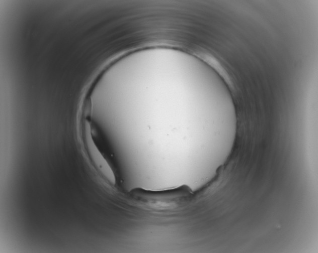 X0000088721140200706282058