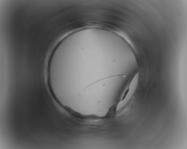 X0000088721143200706282058