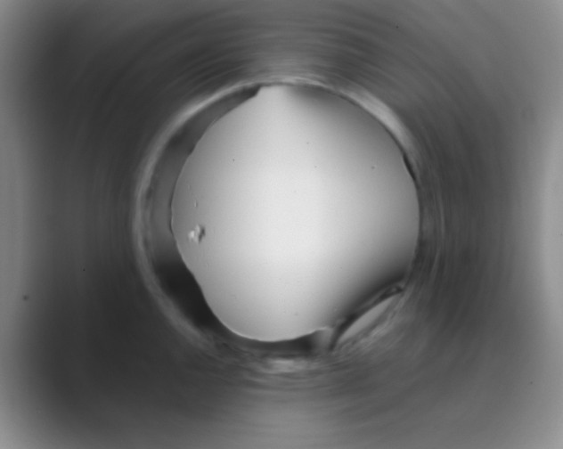 X0000088721144200706282058