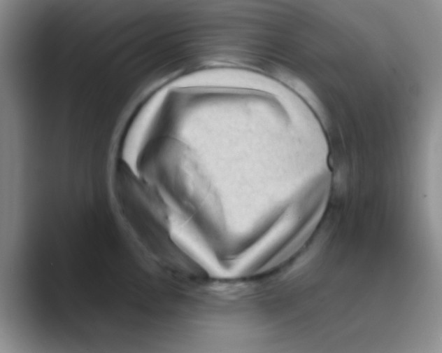 X0000088721146200706282058