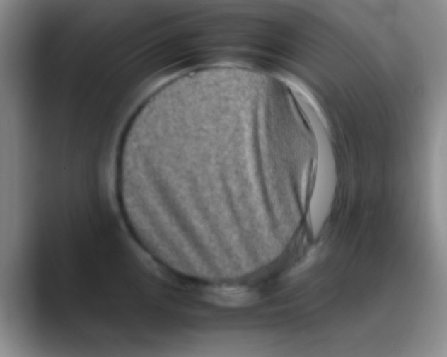 X0000088721147200706282058