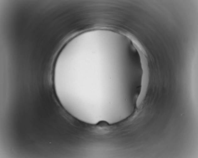 X0000088721148200706282058