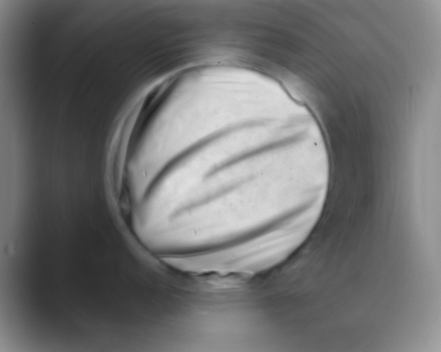 X0000088721152200706282058