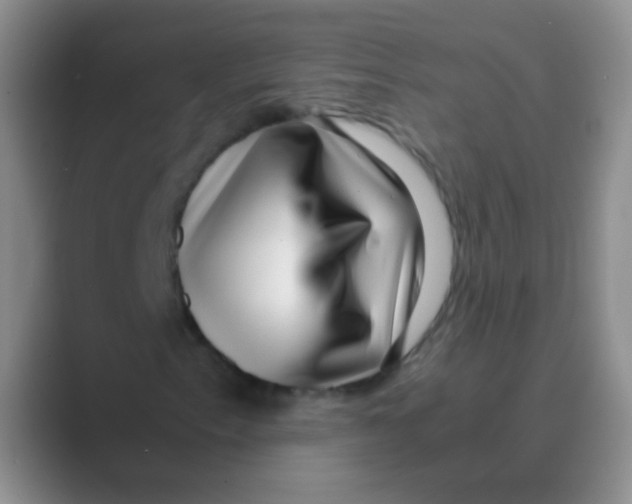 X0000088721153200706282058