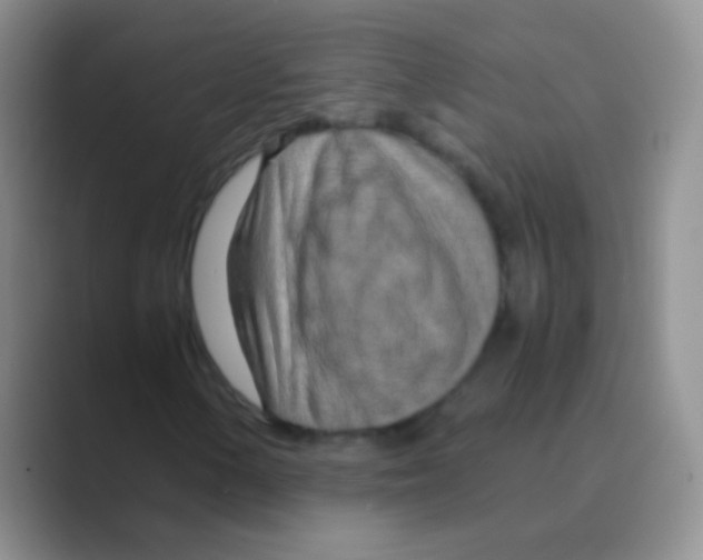 X0000088721154200706282058