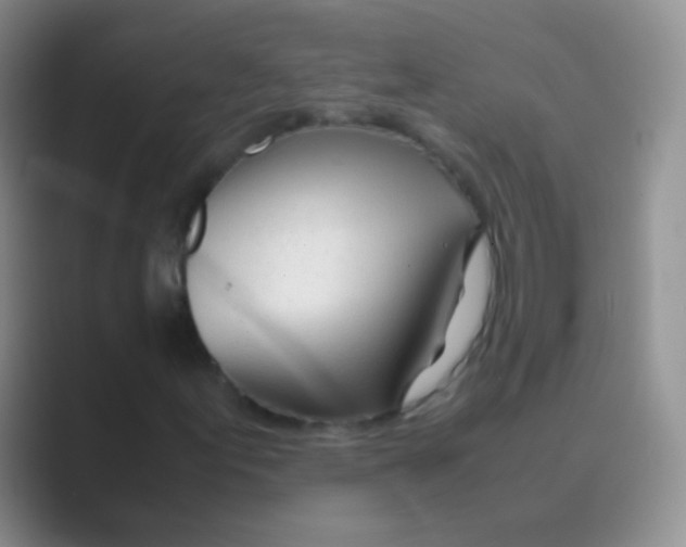 X0000088721155200706282058