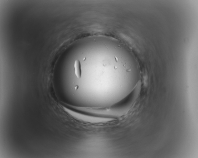 X0000088721157200706282058