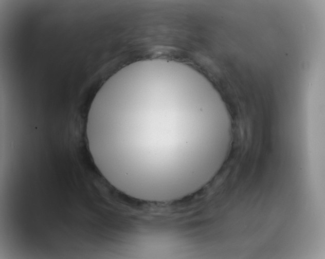 X0000088721158200706282058