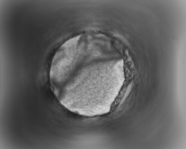 X0000088721159200706282058