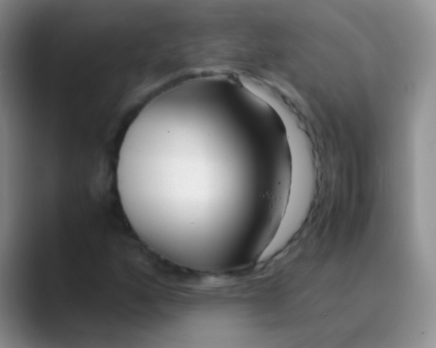 X0000088721160200706282058