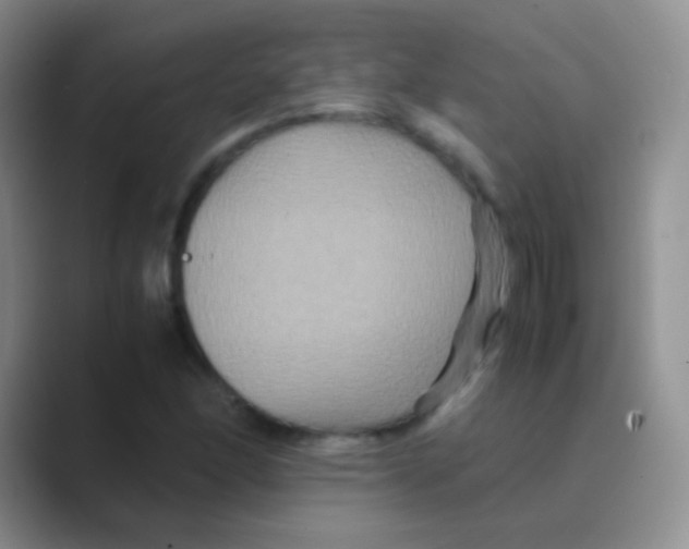 X0000088721166200706282058