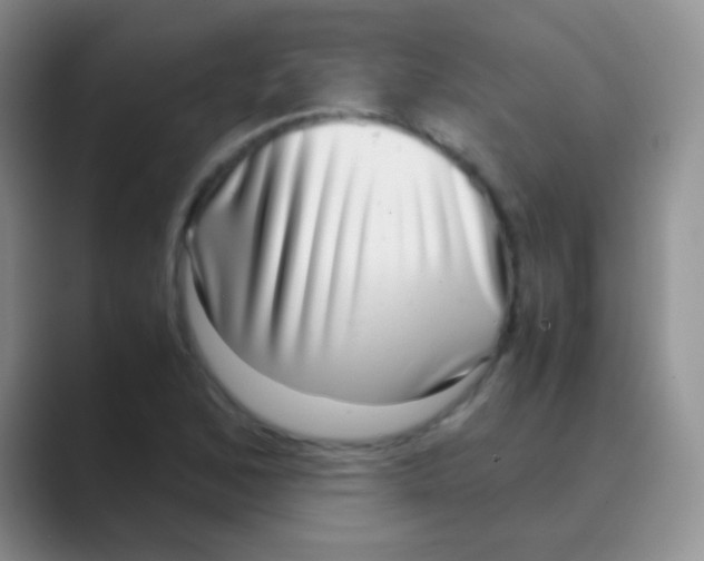 X0000088721168200706282057