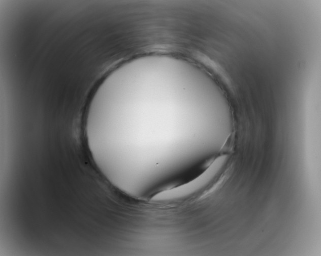 X0000088721170200706282057