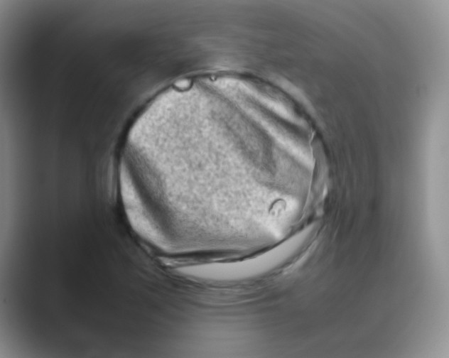 X0000088721171200706282057