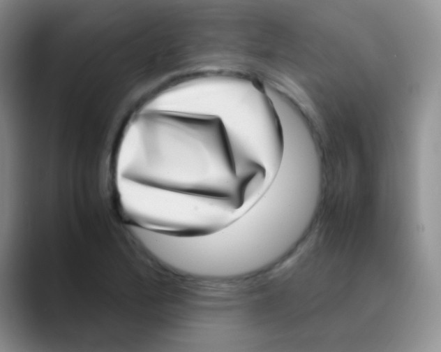 X0000088721172200706282057