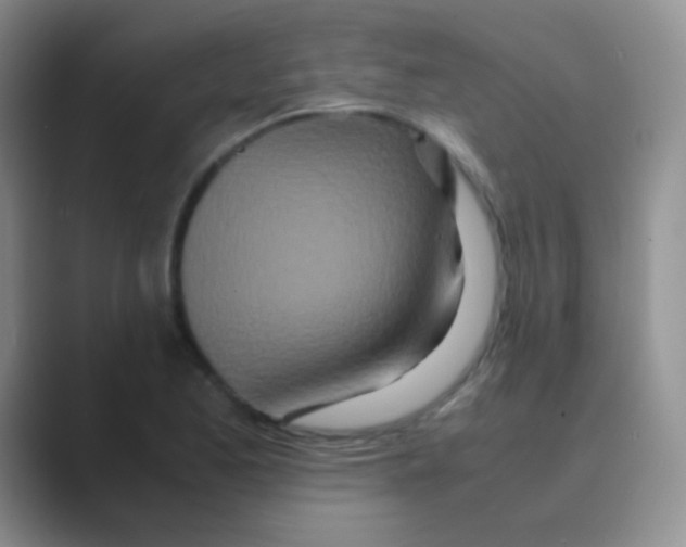 X0000088721173200706282057