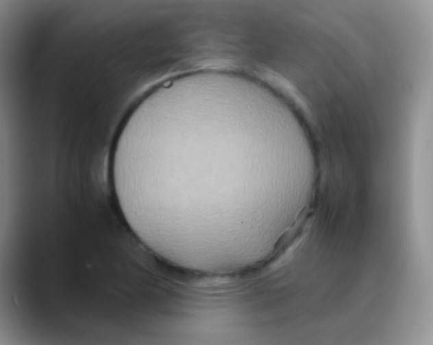 X0000088721174200706282057