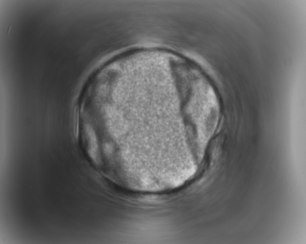 X0000088721175200706282057