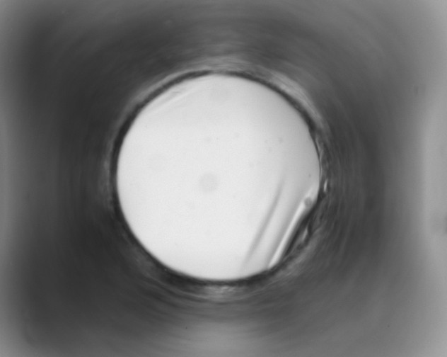 X0000088721176200706282057