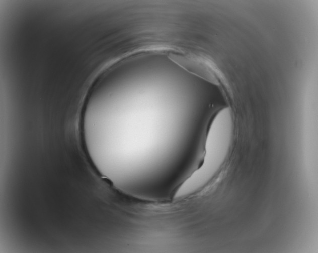 X0000088721181200706282057