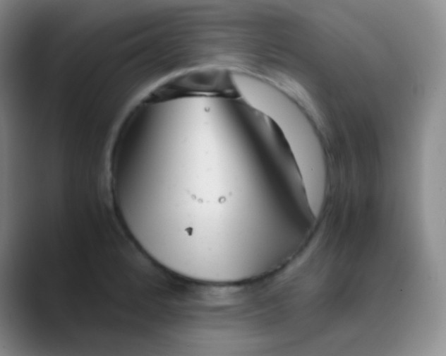 X0000088721184200706282057