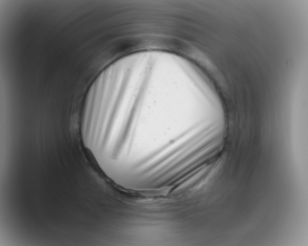 X0000088721185200706282057