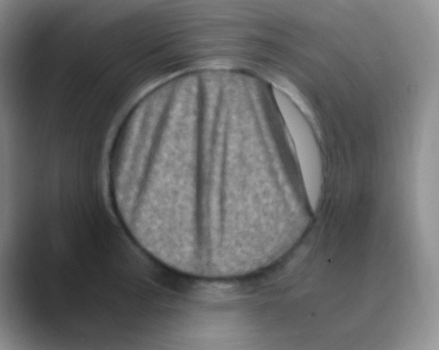 X0000088721187200706282057